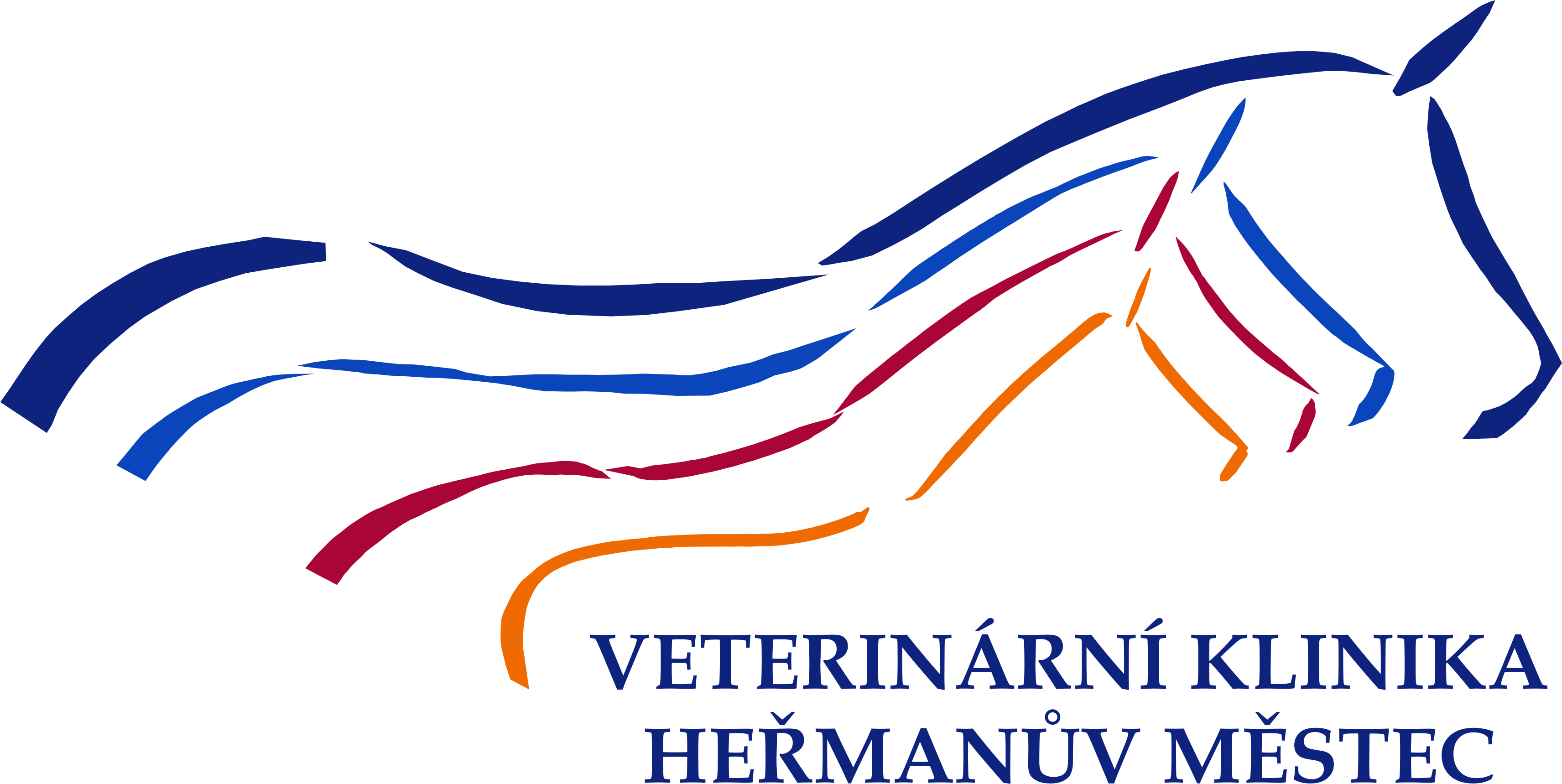 LOGO VKHM pro web